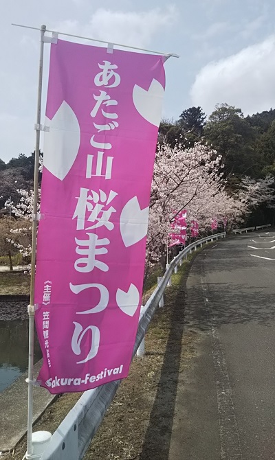 愛宕山　山道の桜祭りののぼり旗
