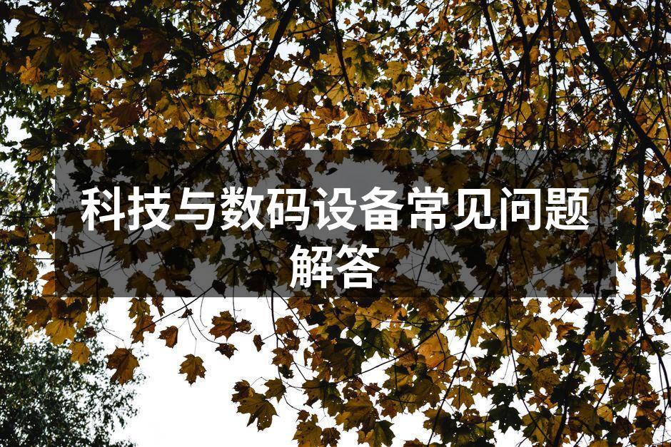 用户在选购智能手机